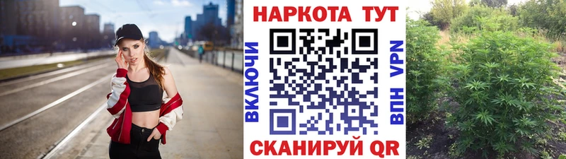 Конопля Кяхта